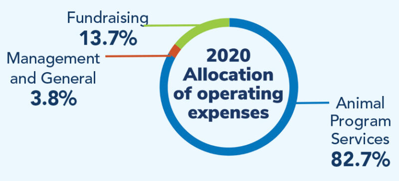 donor-impact-2020-expenses-graphic-v2