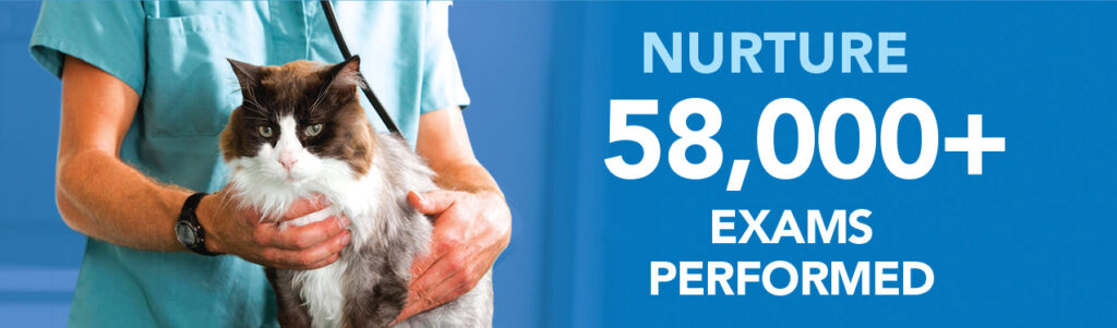 donor-impact-2020-nurture