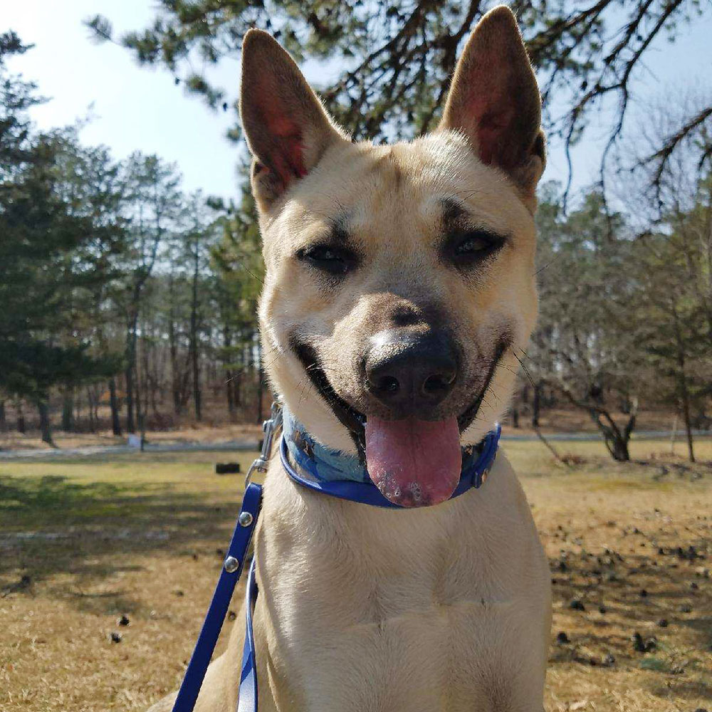 Meet Max