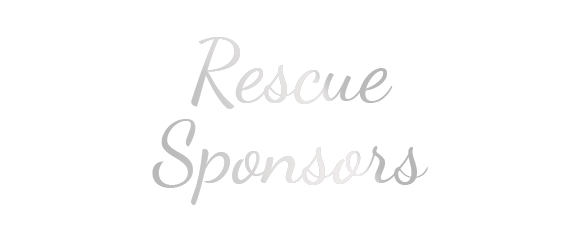 nsala-web-virtualcelebration-sponsors-res-2021
