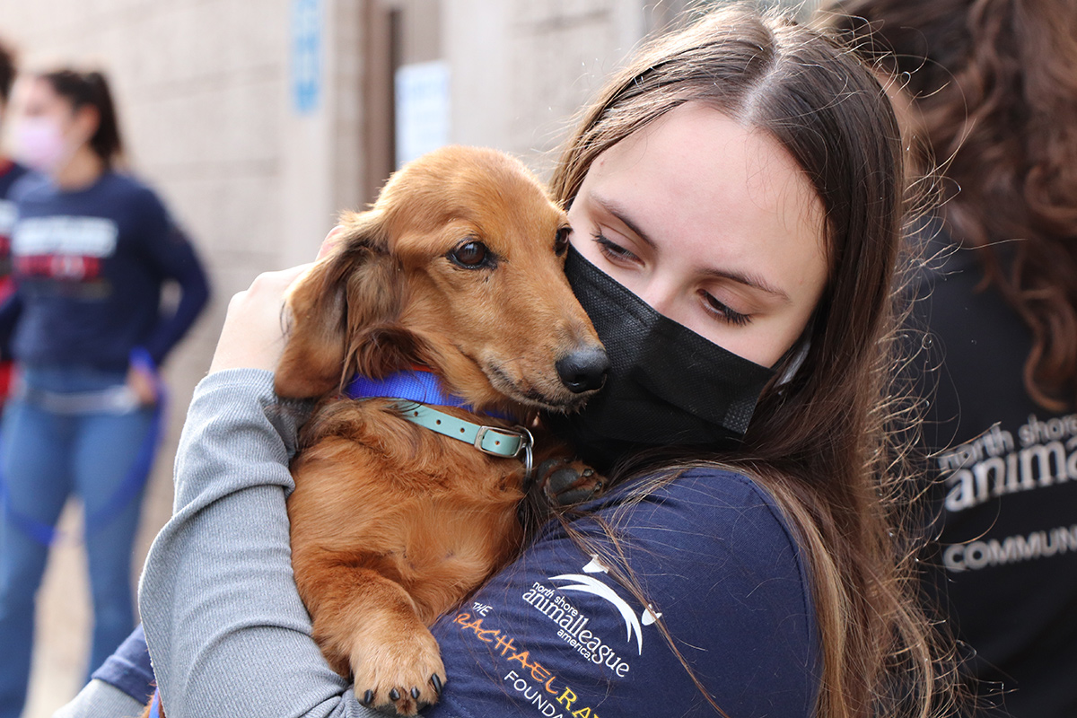 a woman wearing a face mask holding a dog