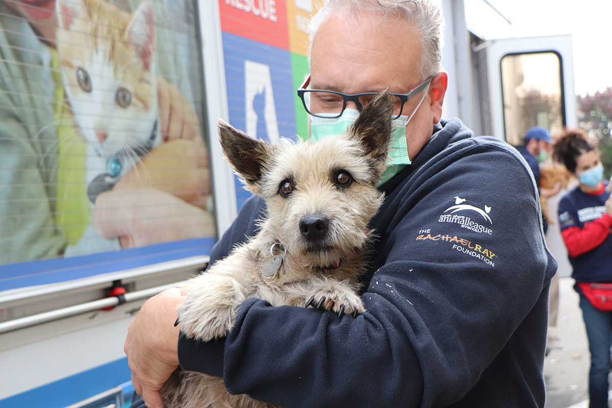 a man wearing a mask holding a dog