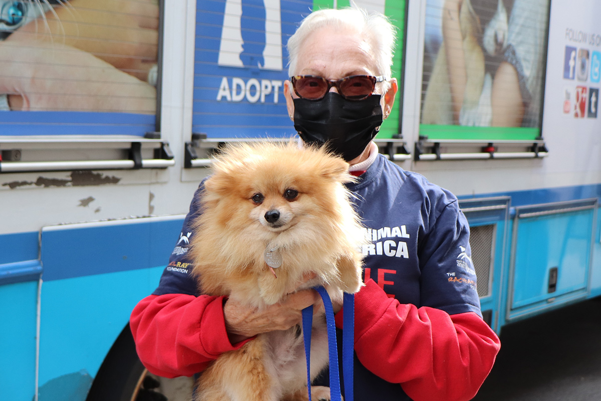 a man wearing a mask and holding a dog