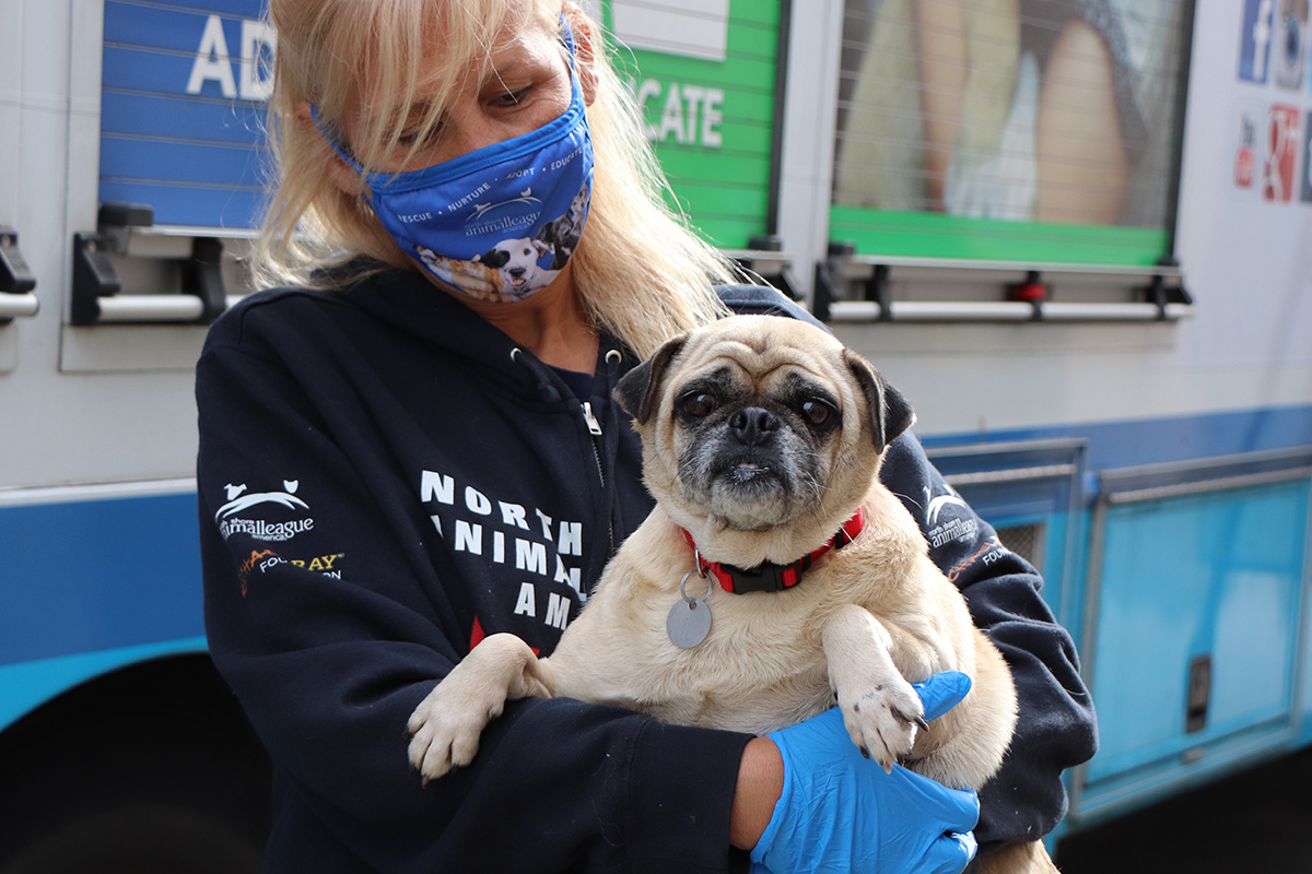 a woman wearing a mask and holding a dog