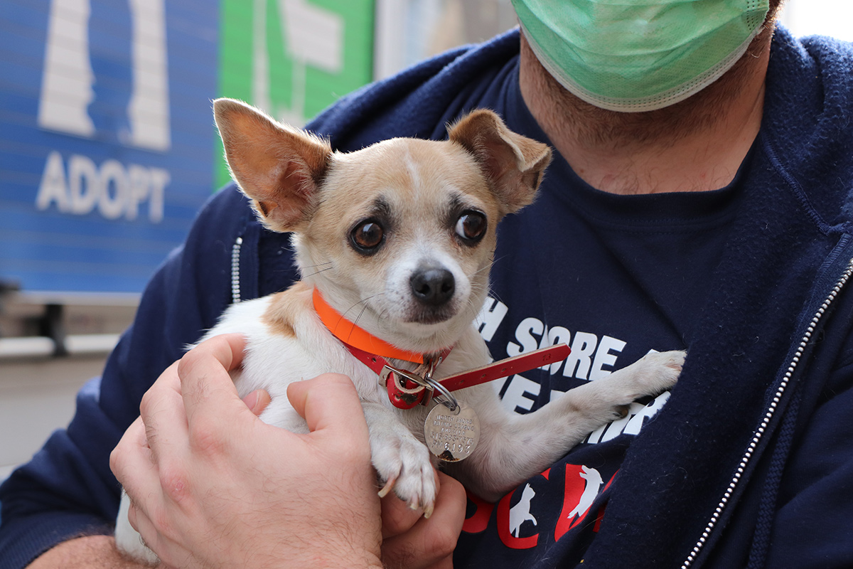 a person holding a dog