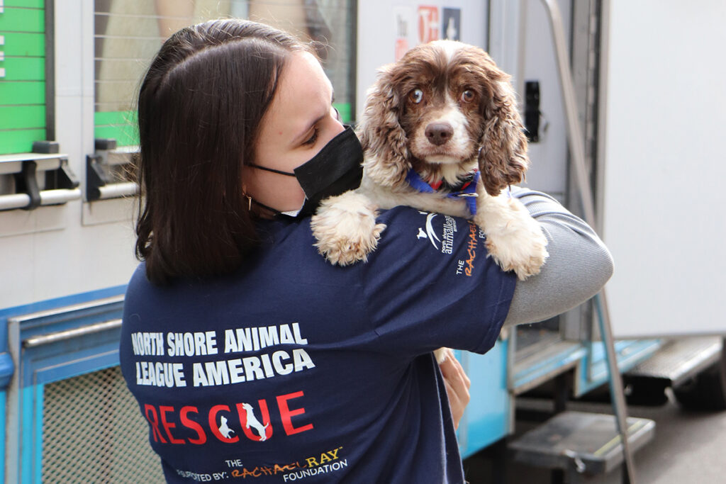 rescue-national-mill-dog-111421-IMG_7422
