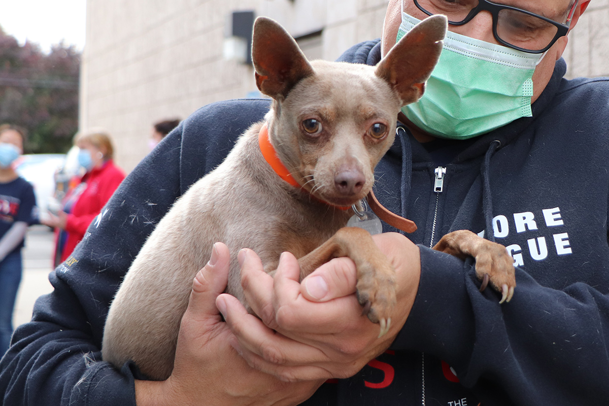 a person holding a dog
