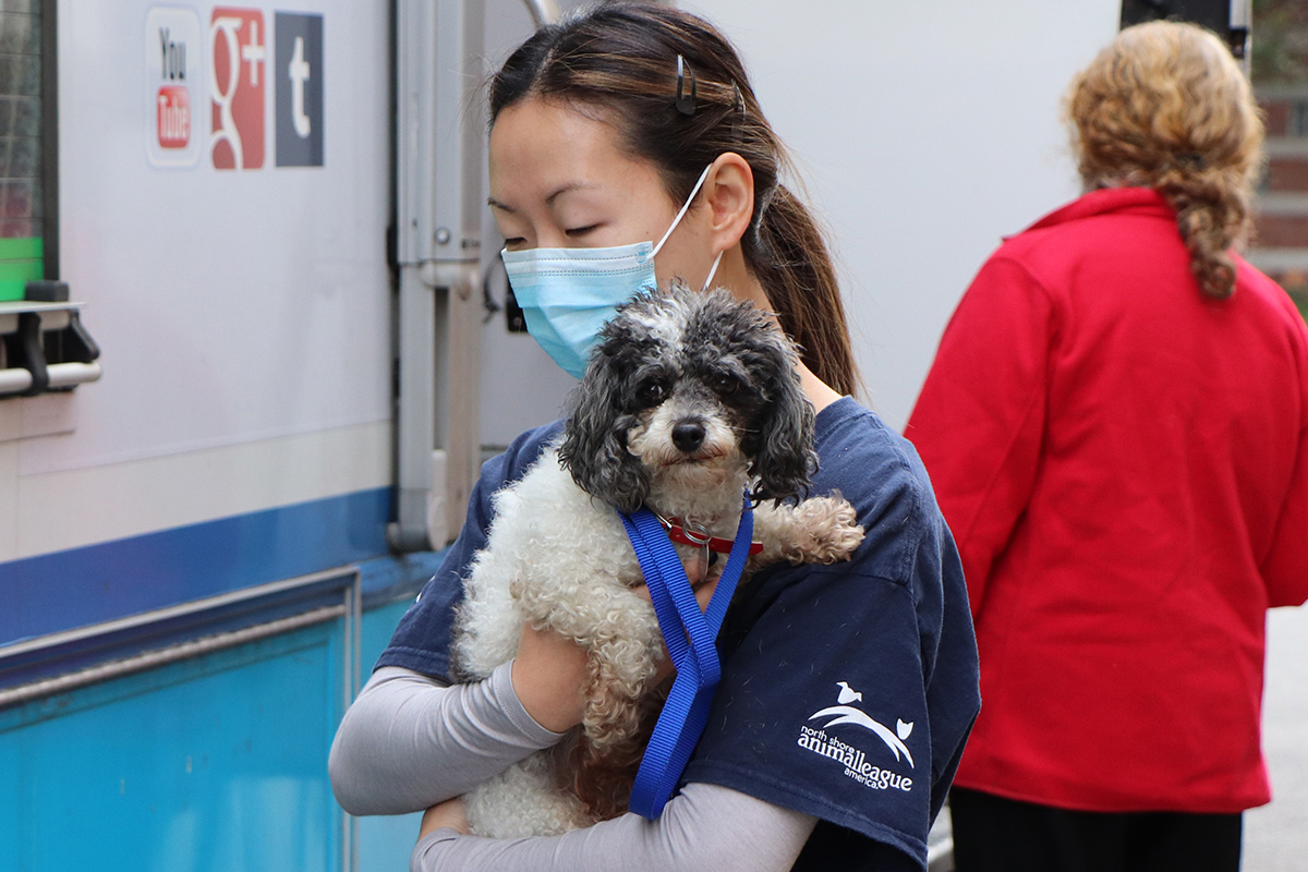 a woman wearing a mask holding a dog