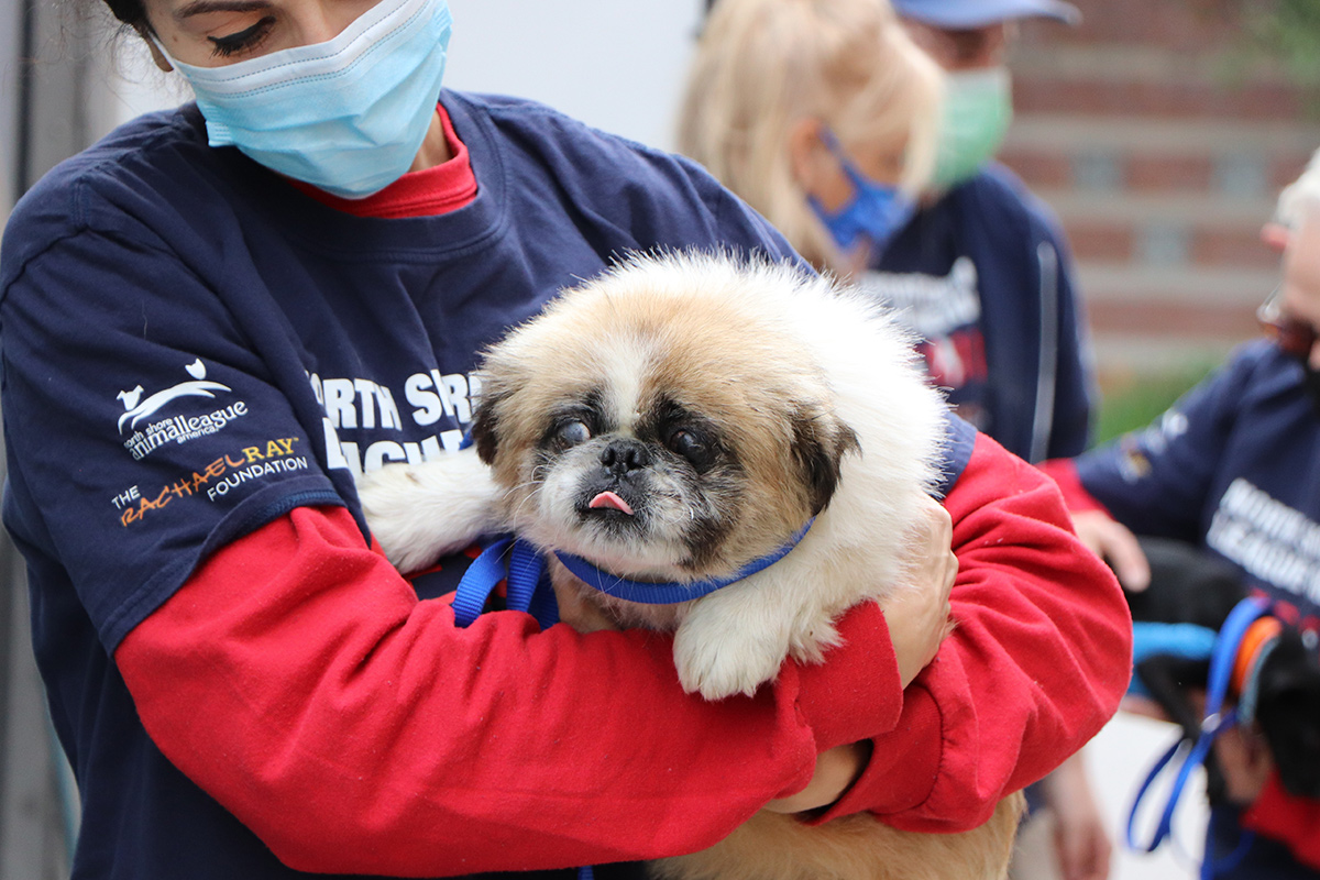 a person holding a dog