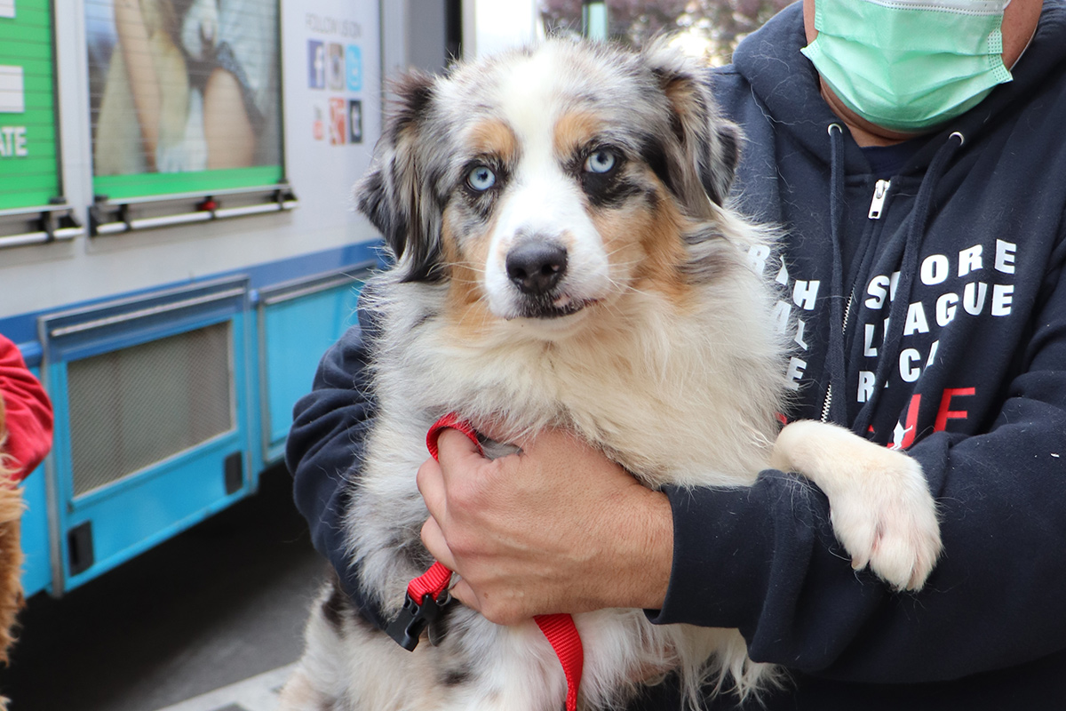 a person holding a dog