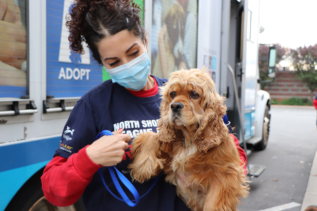 a woman wearing a mask holding a dog
