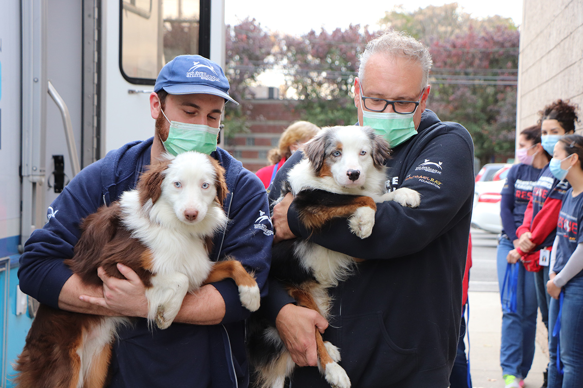 two men holding dogs