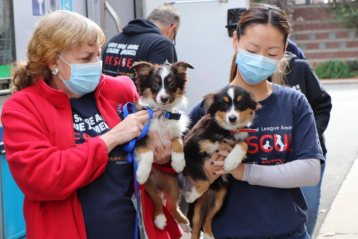 a group of people wearing masks holding dogs