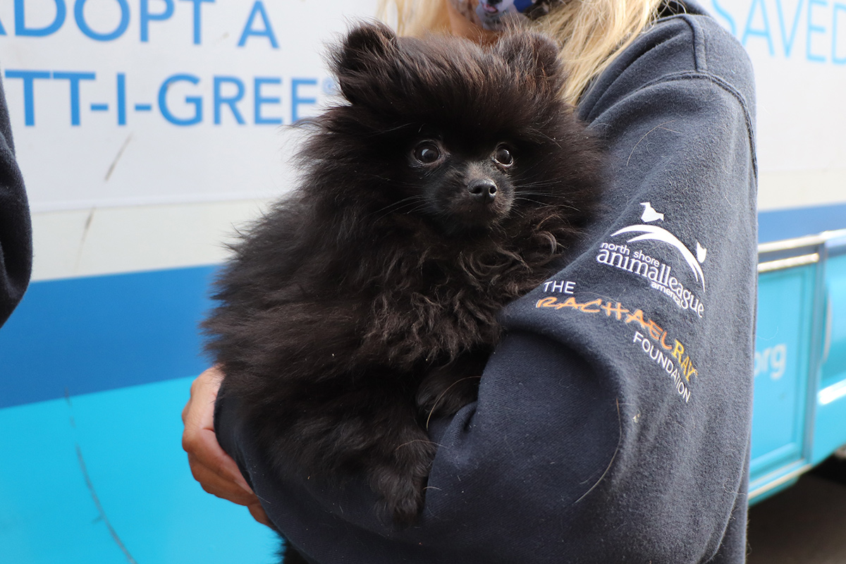 a woman holding a black dog