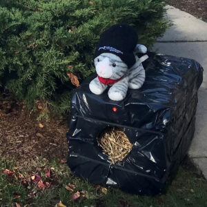 a stuffed animal on a garbage bag