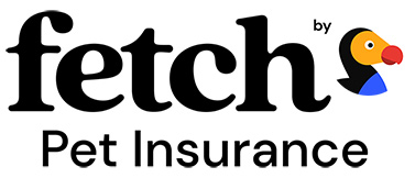 Fetch by the Dodo