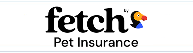 Fetch by The Dodo