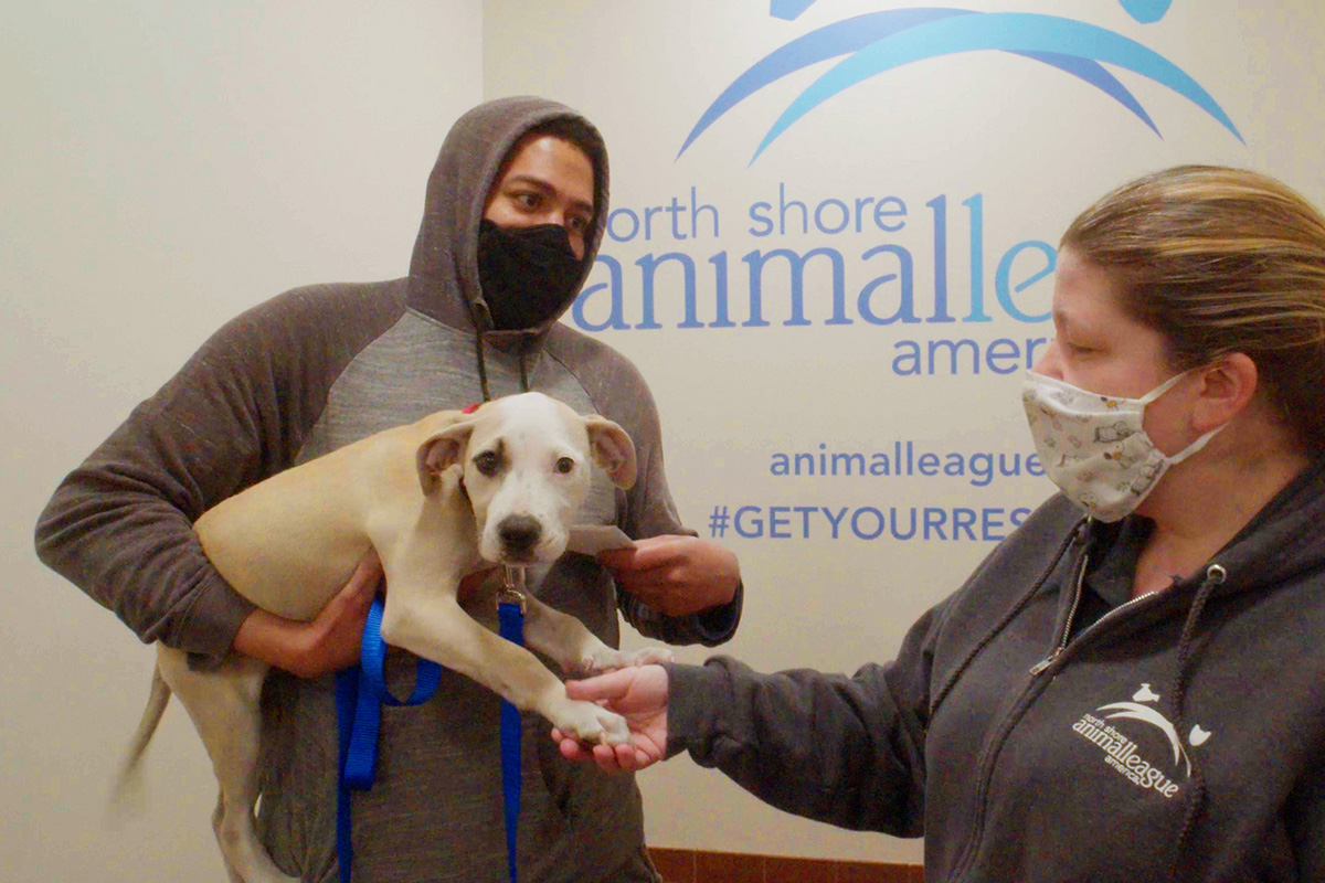 foster-maggie-adopter-A042_01092358_C017.00_00_18_23