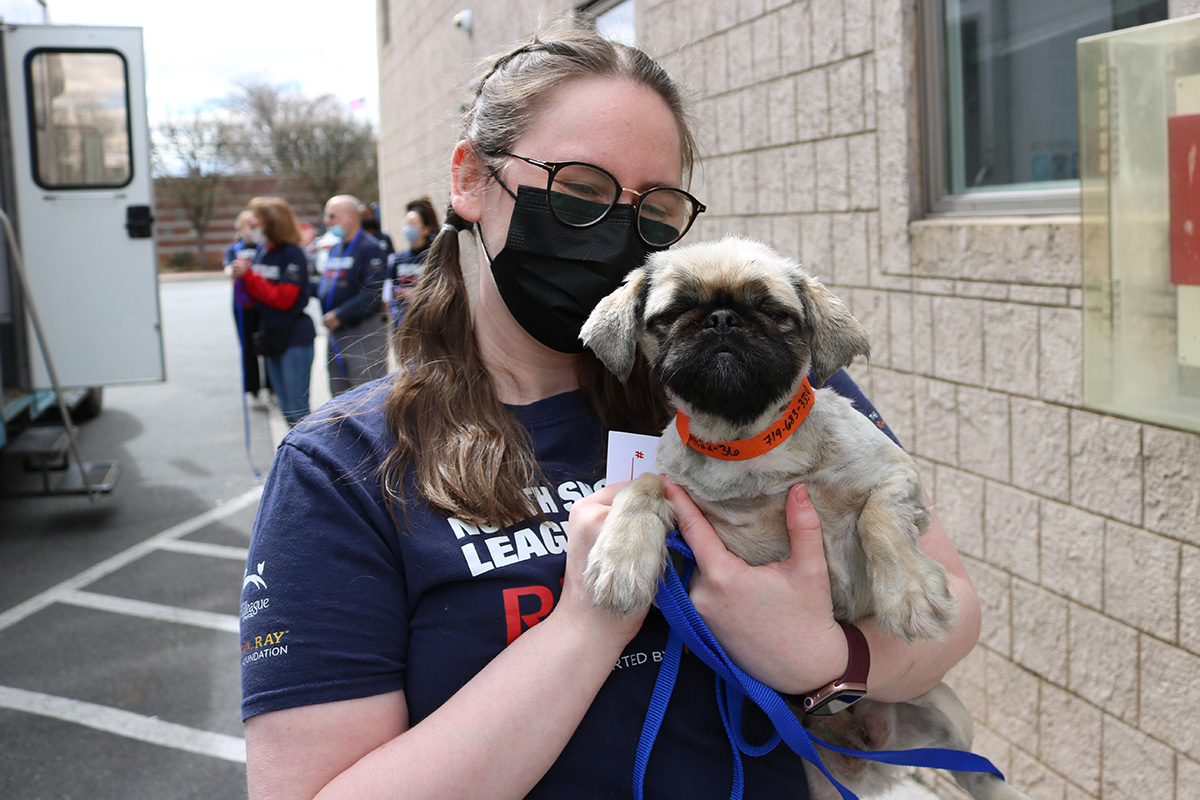 a woman wearing a mask and holding a dog