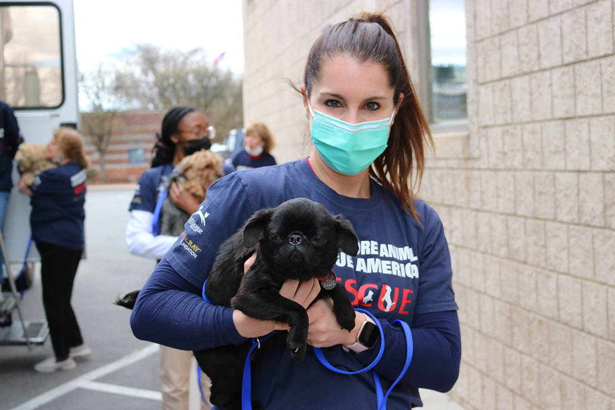 a woman wearing a mask holding a dog