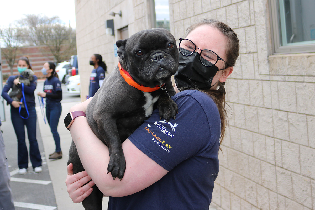 a woman wearing a mask and holding a dog