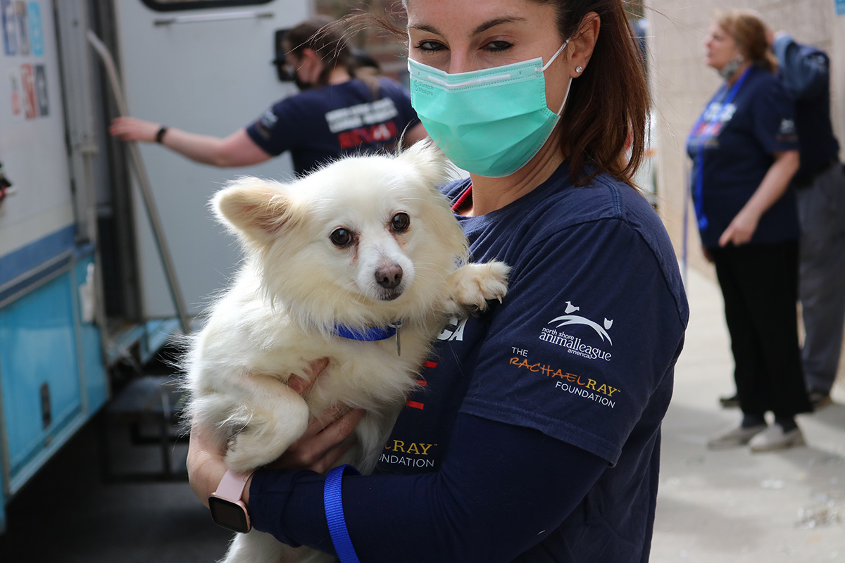 a woman wearing a mask holding a dog