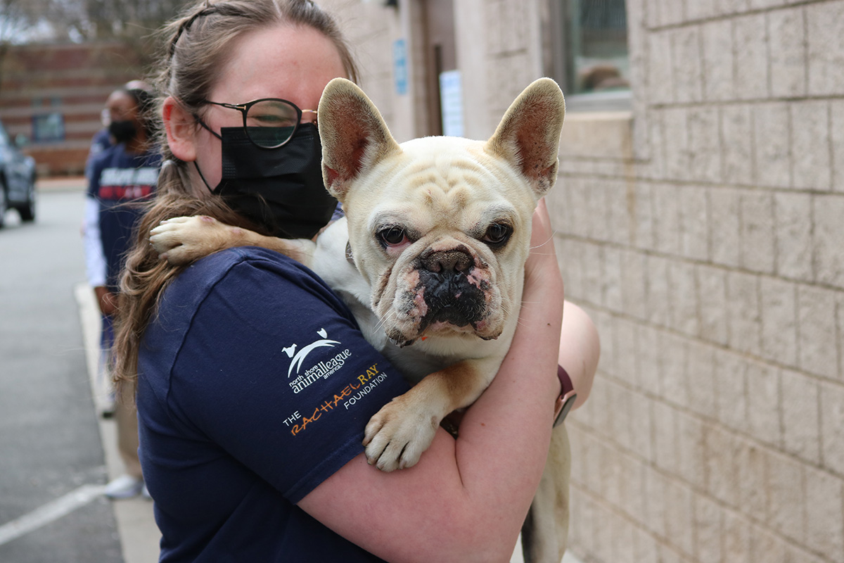 a woman wearing a face mask holding a dog