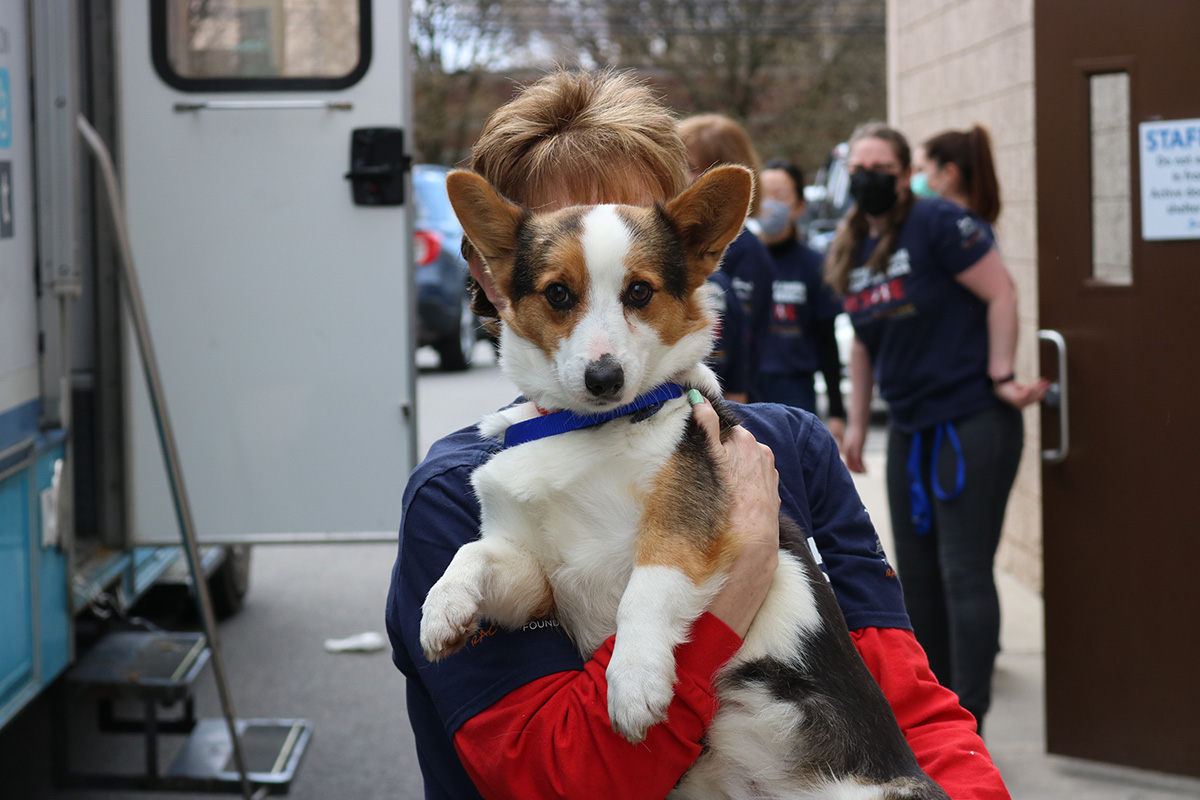 a person holding a dog