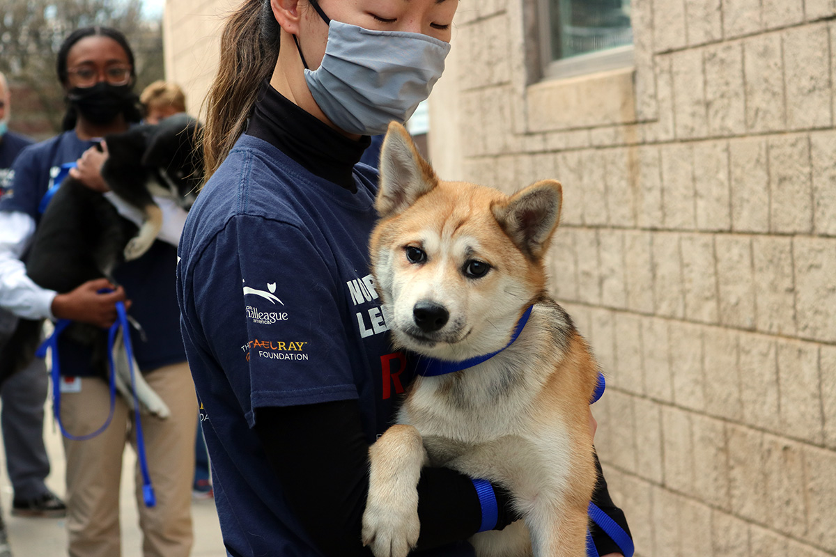 a woman wearing a face mask holding a dog