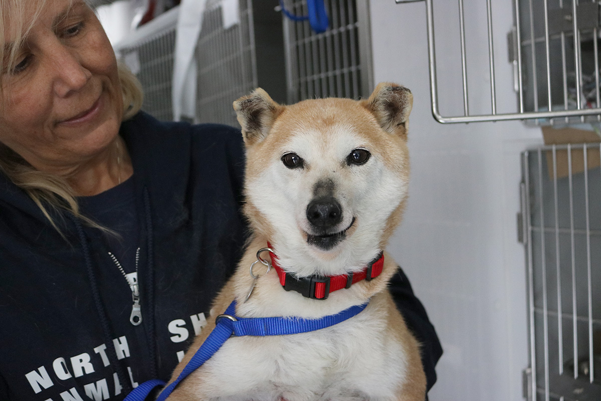 rescue-national-mill-dog-zenni-img2960-032722
