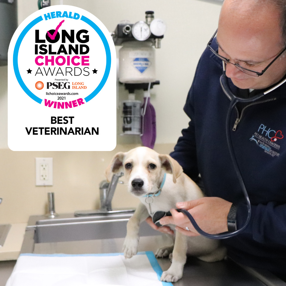 about-li-choice-award-best-veterinarian-041322