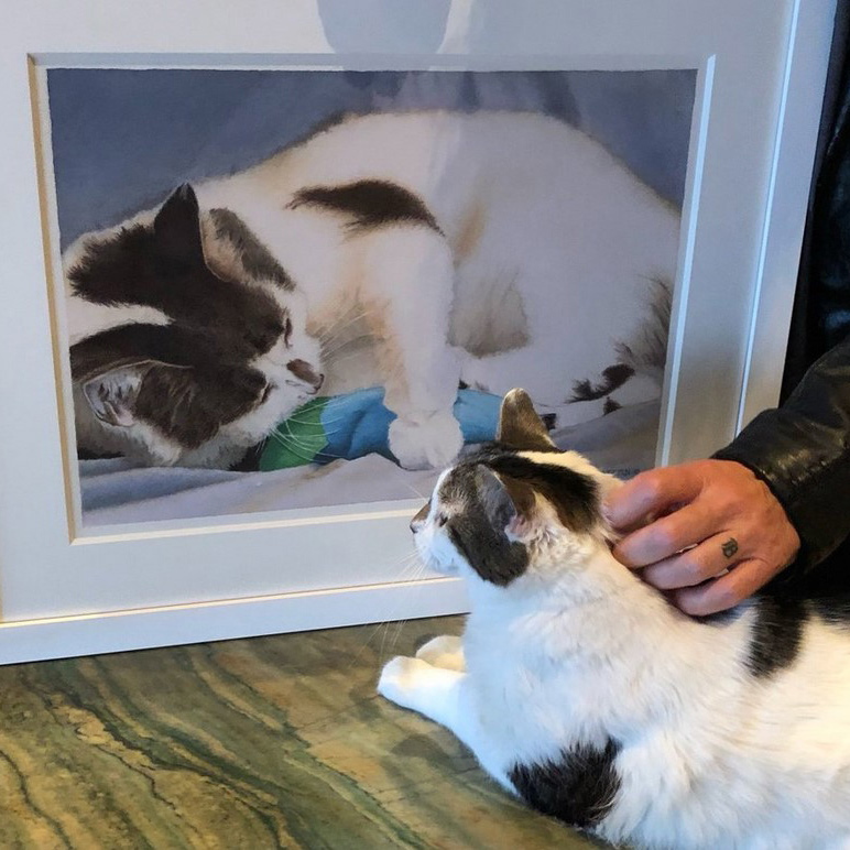 beth-blog-april2022-howard-and-walter a cat lying on a table next to a framed picture of a cat
