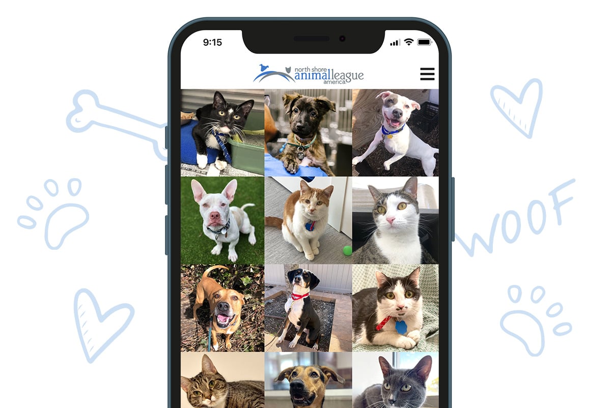 a cellphone with a screenshot of a dog cat and a dog