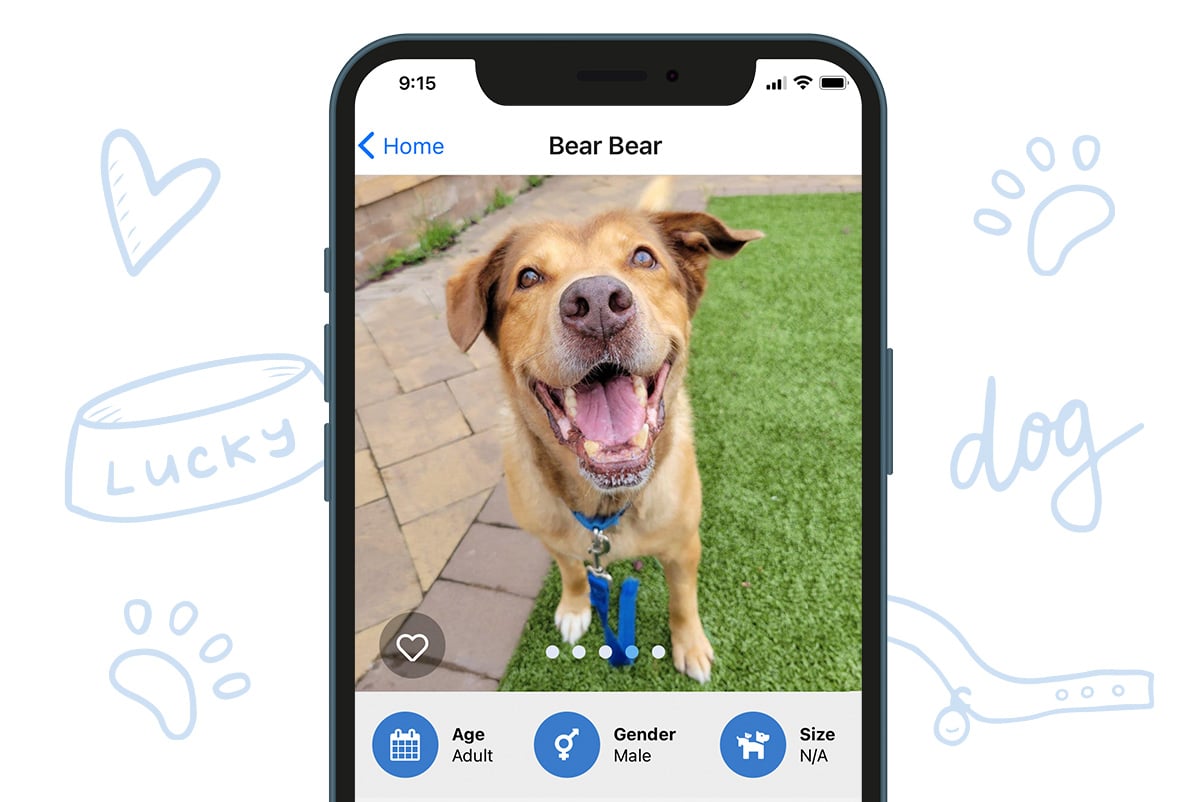 a phone with a dog on it
