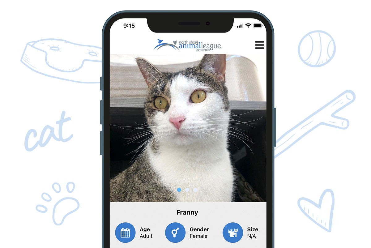 a cell phone with a cat on the screen