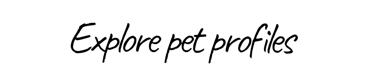 a close-up of a sign