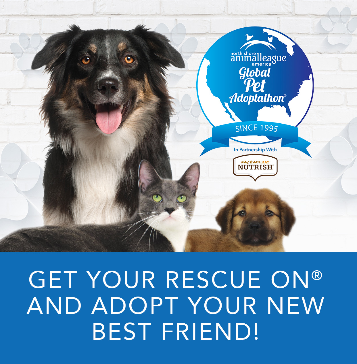 Global Pet Adoptathon 2022 | Events | Animal League