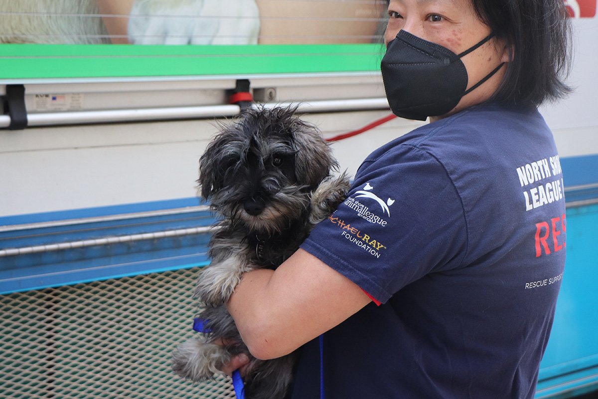 a woman holding a dog