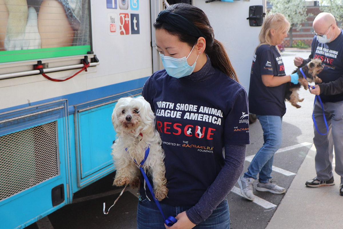 a woman wearing a mask and holding a dog
