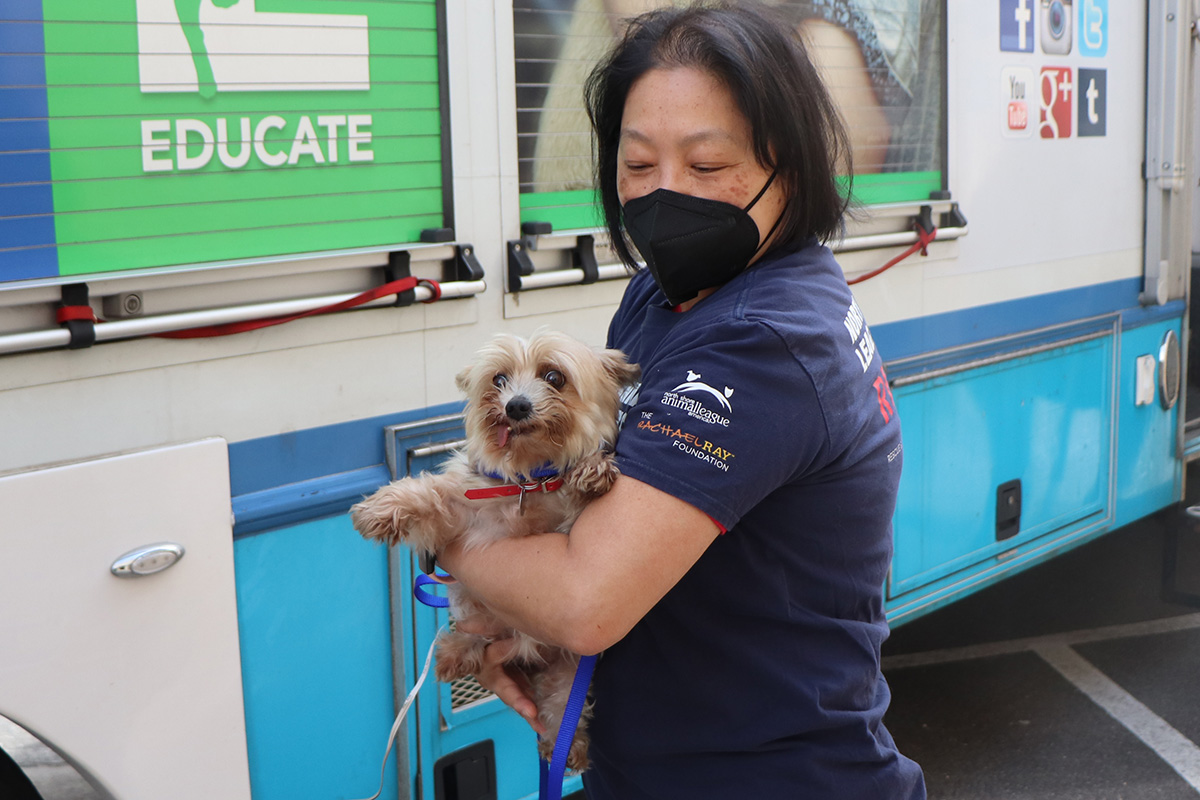 a woman wearing a face mask holding a dog