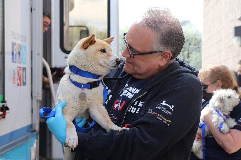 rescue-national-mill-dog-img2950-041622