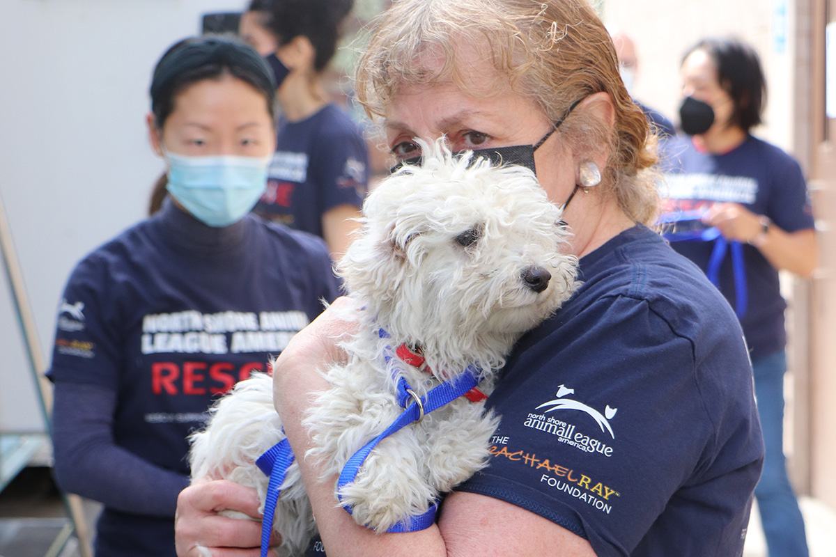 a woman holding a dog