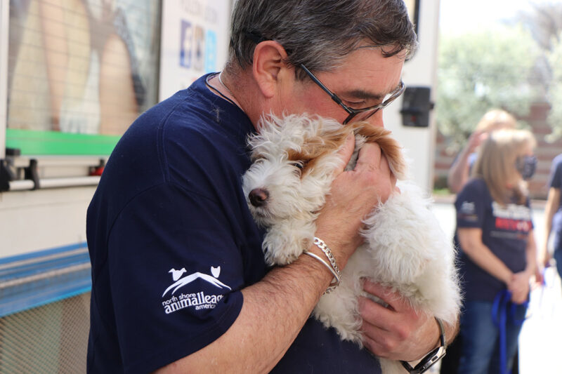 Our Tireless Rescue Efforts Save More Puppy Mill Dogs