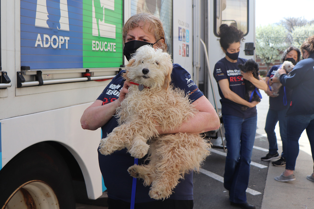 a woman holding a dog