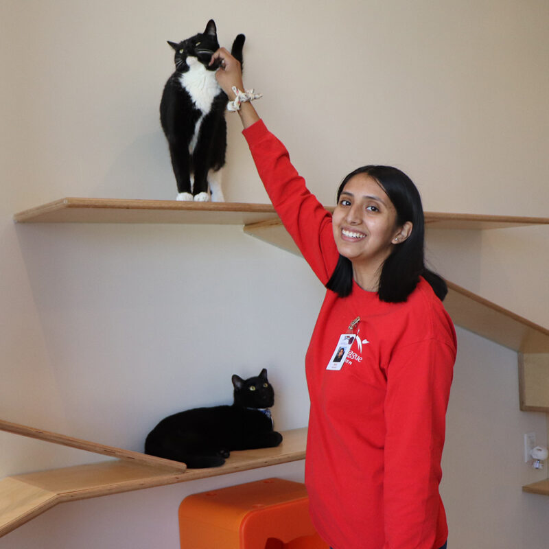 volunteer-ana-sanchez-img2258-040222