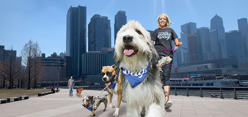 nsala_walkandwag_2022_web_nav_register_4