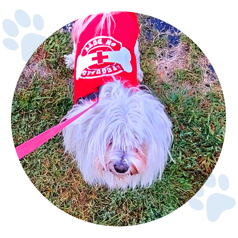 nsala_walkandwag_2022_web_stories_gail_1a