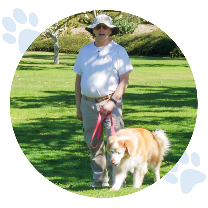 nsala_walkandwag_2022_web_stories_ginger_1a
