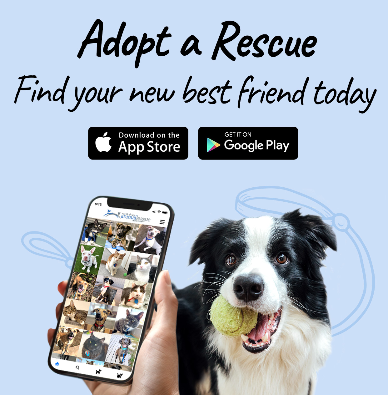 a dog holding a phone