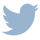 a blue bird with wings